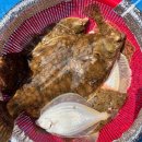 최선장 식당 | 속초여행 중 가장 기억에 남았던 속초배낚시체험 후기