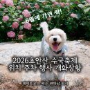 6월 서울 가볼만한곳 초안산 수국축제 애견동반 주차 일정 월계동 초안산 수국동산