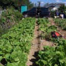 영의농장 이미지