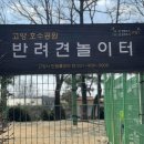 호수공원10, 4주차장 인근 이미지