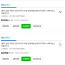 파랑새투어