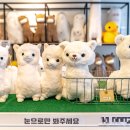 THE CAFE Knitting coffee | 양떼목장 카페 방문 후기Recommended places to visit...visiting Gapyeong Sheep Ranch Cafe in the snow