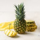 파인애플 이미지