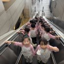 현명반의 국립중앙박물관&amp;용산가족공원 현장체험학습 1 🍂🍁 이미지