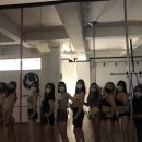 쟝폴 폴댄스 이미지