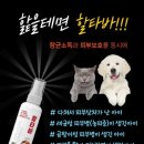 동시약국 이미지