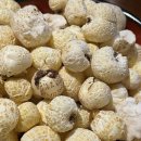 꼬지사께(안성 삼정그린코아점) 이미지