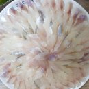 광선회센타