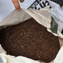 흙고운 주식회사 | 아베크라포렛관엽식물전용상토 관엽식물전용상토 분갈이 후기 관리까지 달라지는 이유