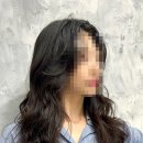 브로시스
