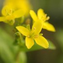 그리다 미술학원 이미지