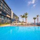 탐라목장 이미지