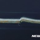 이동수스포츠 이미지