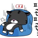 디저트(빵+쿠키) 이미지