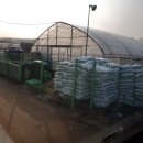 장락농장 이미지