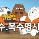 &#39;베이식 그래머 인 유즈&#39;(BGIU) 기초 영문법 강의”(064강) 이미지