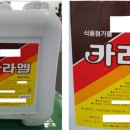 디제이 비엔에프