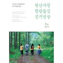 숲 걷기 명상 이미지