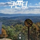 만디디자인