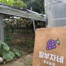 박흥수농장 이미지