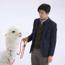 메이킹 이미지