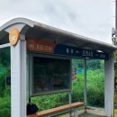 초천4리 네이버블로그
