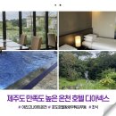 온천 호텔 디아넥스(THEANNEX) 제대로 즐기고 온 후기 ➿- 포도호텔 왕새우튀김우동, 조식, 북카페...