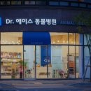 닥터에이스 동물병원 이미지
