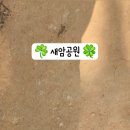 새암공원 네이버블로그