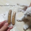 집밥멍선생 이미지
