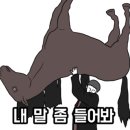 부산교대부설초교 이미지