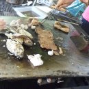 광표농장 이미지