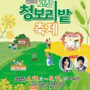 유채꽃길에 머문시간 | 고창 청보리밭 축제 2025｜폭싹 속았수다 첫 키스 명소, 입장료·기간 총정리