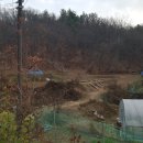 성균관숲유치원 이미지