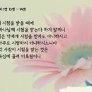 야보고 이미지