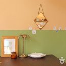 진도허브 이미지