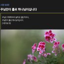 [시편 86편] 주님만이 홀로 하나님이십니다 이미지