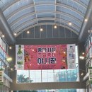 ⭐️대전⭐️ 성심당을 위한 당일치기 코스 추천 ( 별난집, 망고 시루, 커피 인터뷰, 중앙시장 야시장 )