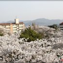 동산로 이미지
