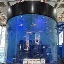 해양수산 | 여수 아이와 가볼 만한 곳, 전라남도해양수산과학관 솔직 후기