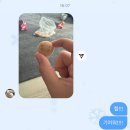 서진돼지국밥 | 오랜만에 돌아왔으요!