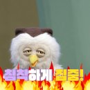 딩동댕 이미지