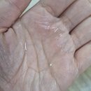 아워즈건강 | 드라이오일 하나로 윤기보습 끝! 멀티케어 가능한 17아워즈 드라이오일 사용후기