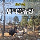 구례농장 | 전남 구례 동물 체험농장, 피자만들기 체험, 가성비 좋은 번떡뜰 체험농장