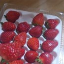 미주농장 이미지