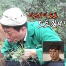 황금포차 이미지