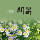 새밝 이미지