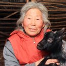 안의고등학교 이미지