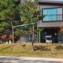 알파카 소풍 펜션 이미지