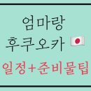 위비로프트 | 엄마랑 일본여행 | 후쿠oka 3일 일정과 준비물
